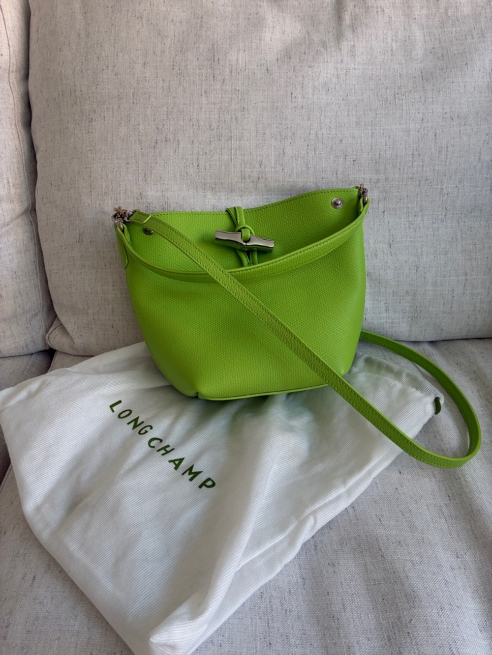 Longchamp Le Roseau XS Bucket Bag in Lime